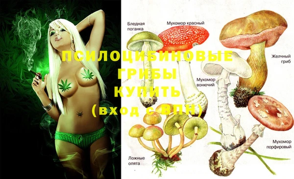 экстази Каменногорск