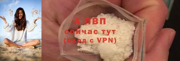 сатива Каменск-Шахтинский