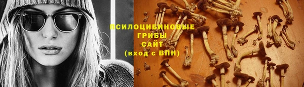 сатива Каменск-Шахтинский