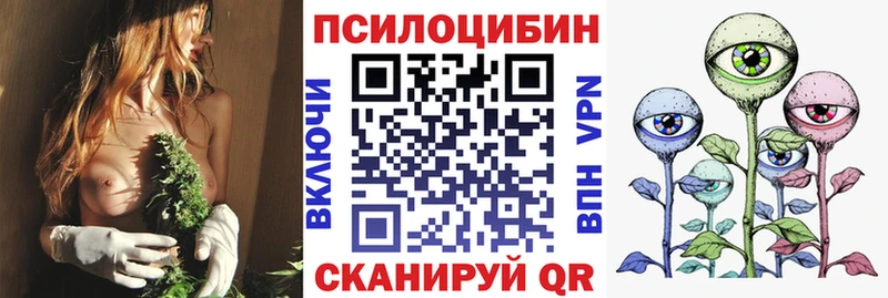 Псилоцибиновые грибы прущие грибы Верхняя Пышма